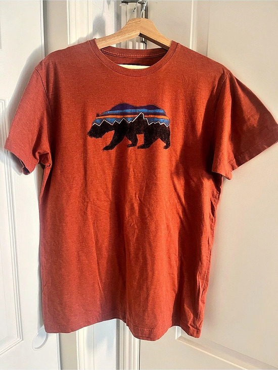 Patagonia Other - Patagonia Fitz Roy Bear Organic Cotton T-Shirt Orange Large